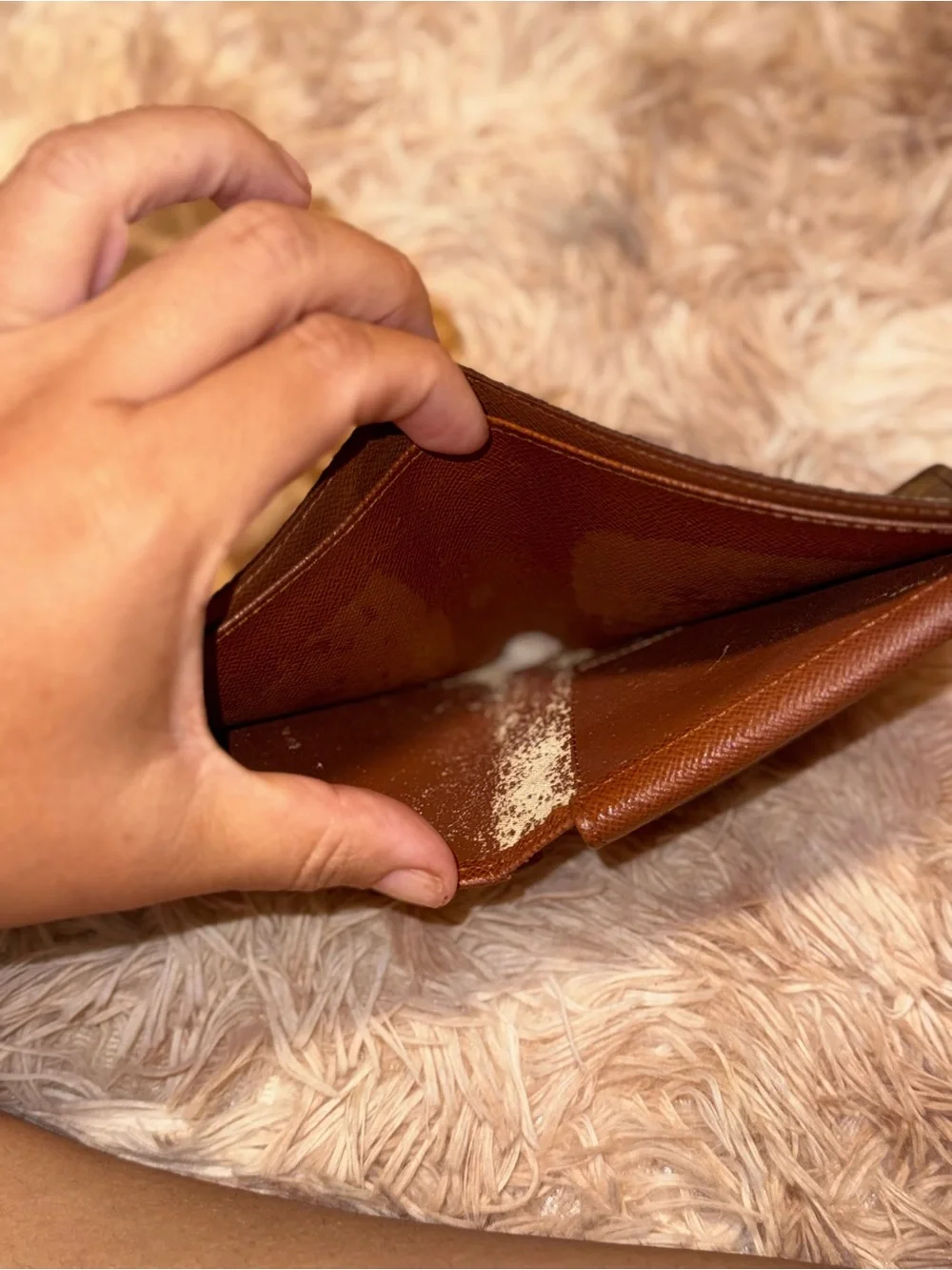 Louis Vuitton authentic louis
